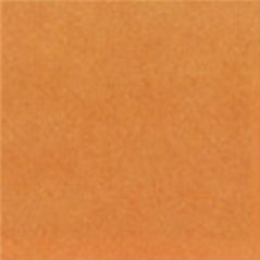 Thompson Enamels for Float - Opaque - Orange - 224g