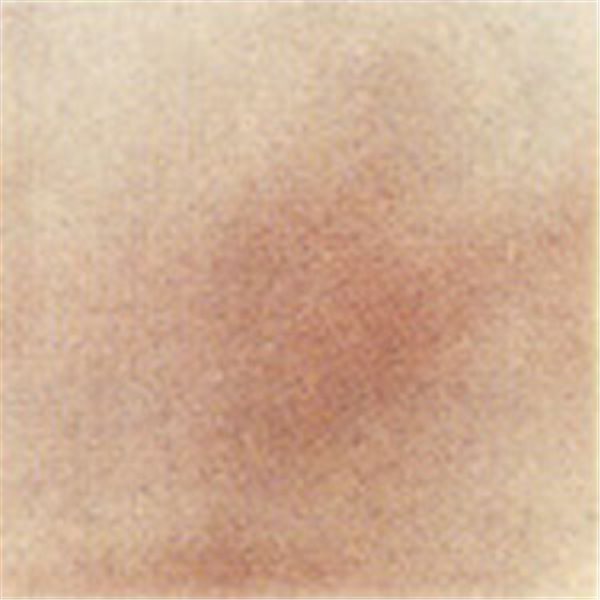 Thompson Enamels for Float - Transparent - Bronze - 56g