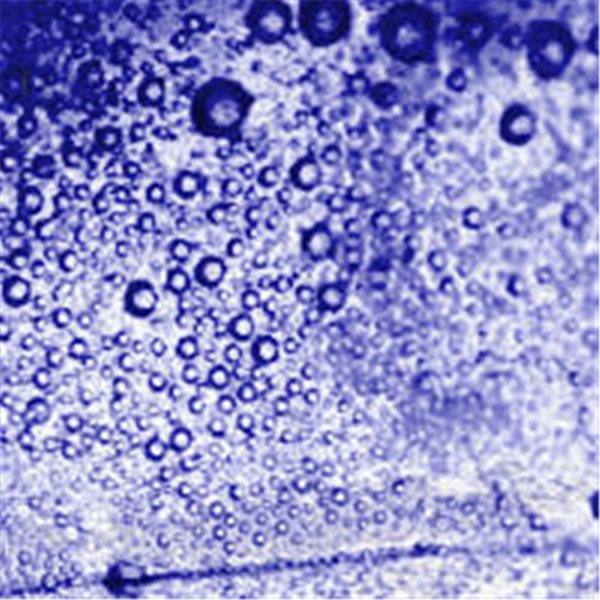 Effettobolle - Bubble Effect - Blu Scuro - 50g