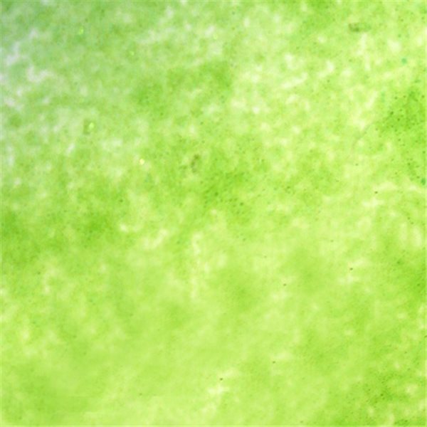 Frit - Chrome Green - Fine Powder - 1kg - for Float Glass