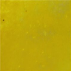 Frit - Opaque Yellow Extra Dense - Fine Powder - 1kg - for Float Glass