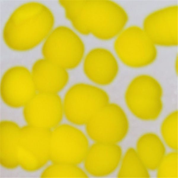 Frit - Opaque Yellow Extra Dense - Coarse - 1kg - for Float Glass