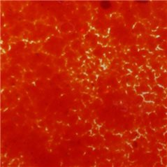 Frit - Grenadine Red - Powder - 1kg - for Float Glass