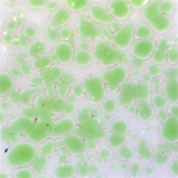 Frit - Light Green - Fine - 1kg - for Float Glass