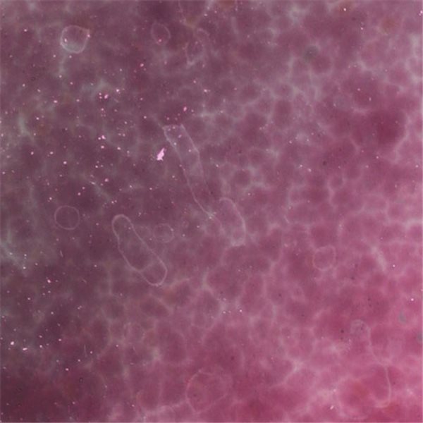 Frit - Gold Violet - Powder - 1kg - for Float Glass