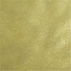 Metallic Effect Powder - Glitter Gold - 50g