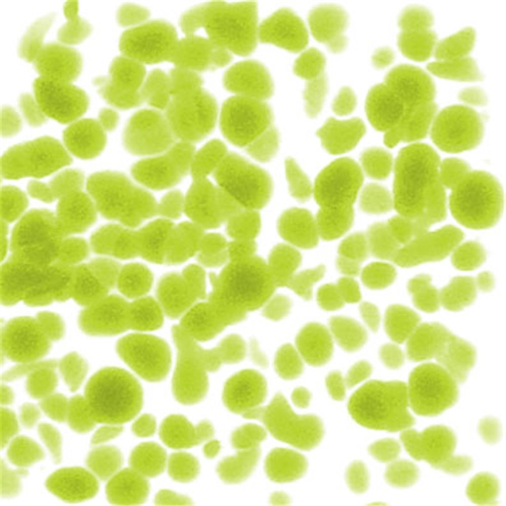 Frit - Opaque Pistachio Green - Fine - 1kg - for Float Glass