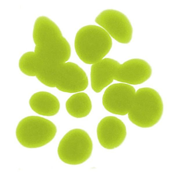 Frit - Opaque Pistachio Green - Coarse - 1kg - for Float Glass