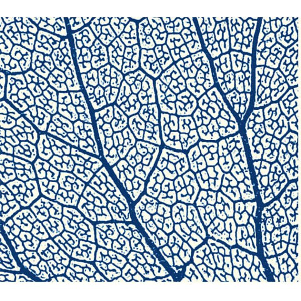 Texture Card - Leaf Skeleton - 5x8.5cm
