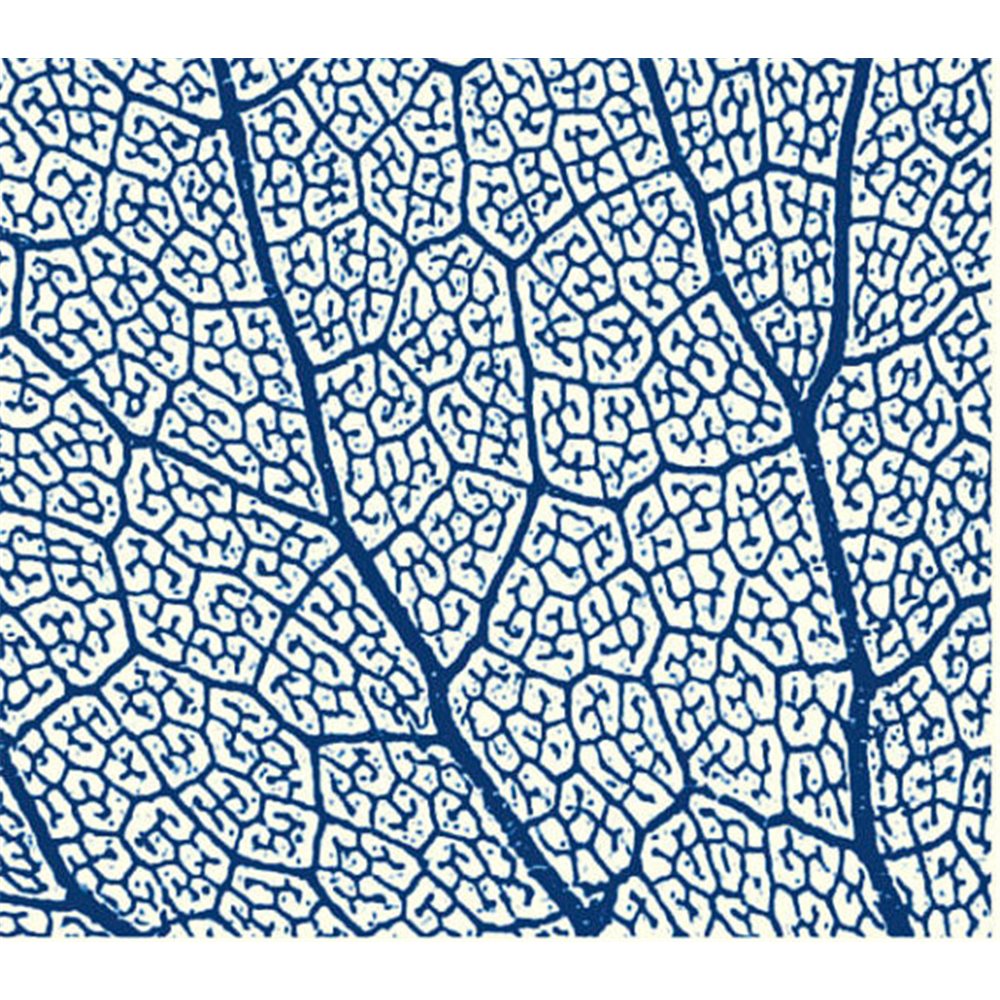 Texture Card - Leaf Skeleton - 5x8.5cm