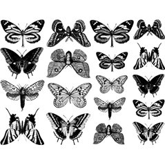 Decal - Butterflies - Black - 14x10 cm