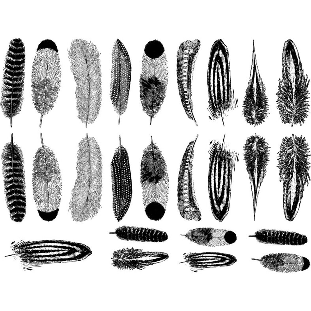 Decal - Small Feathers - Black - 14x10 cm