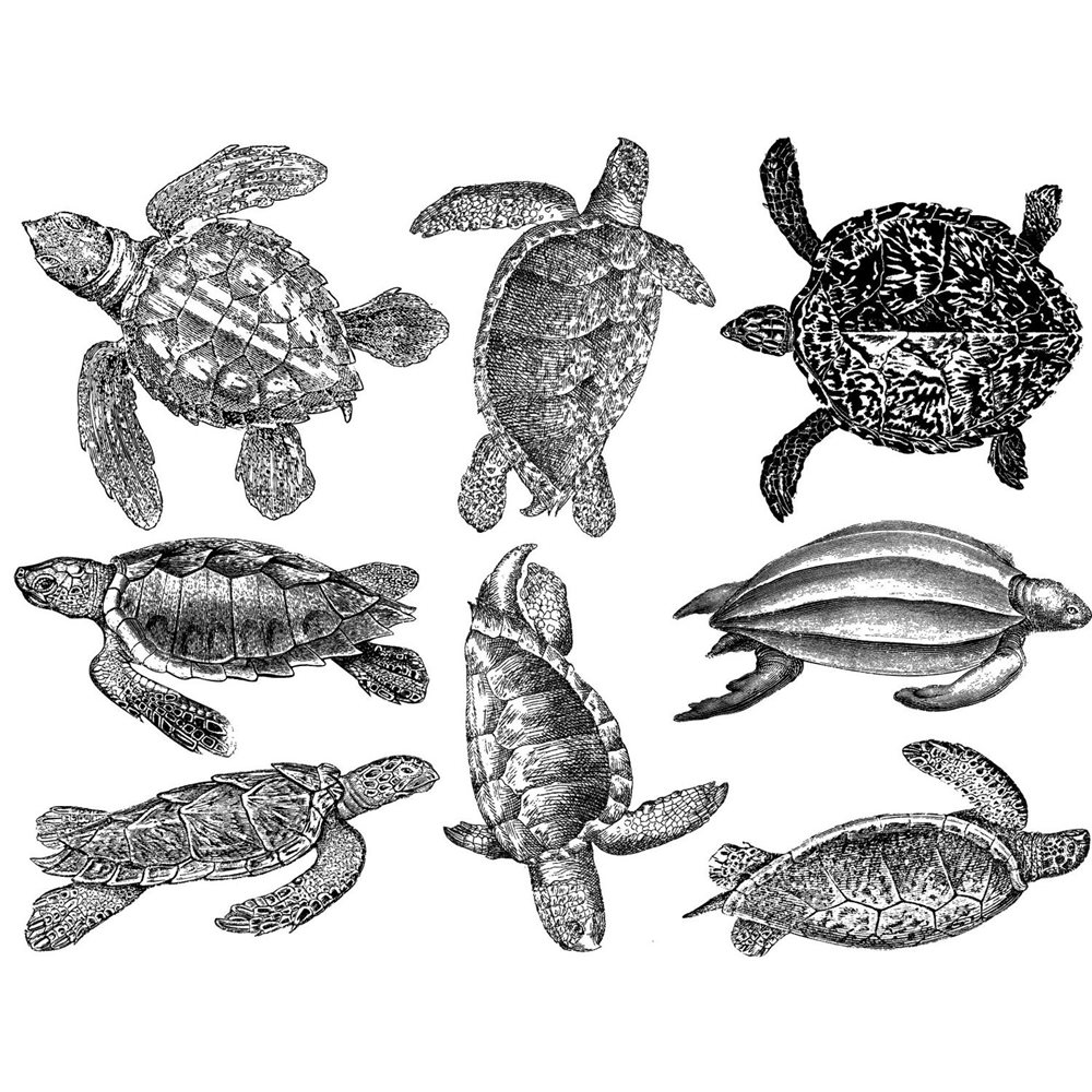 Decal - Sea Turtles - Black - 14x10 cm