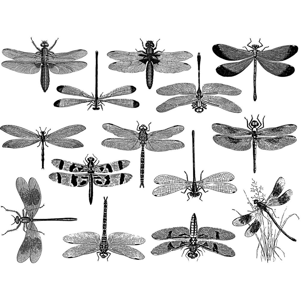 Decal - Small Dragonflies - Copper - 14x10 cm