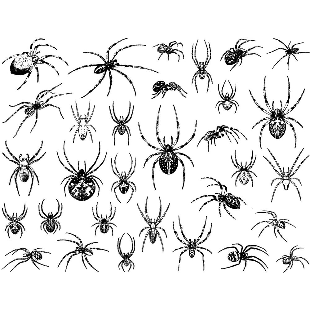 Decal - Spiders - Black - 14x10 cm