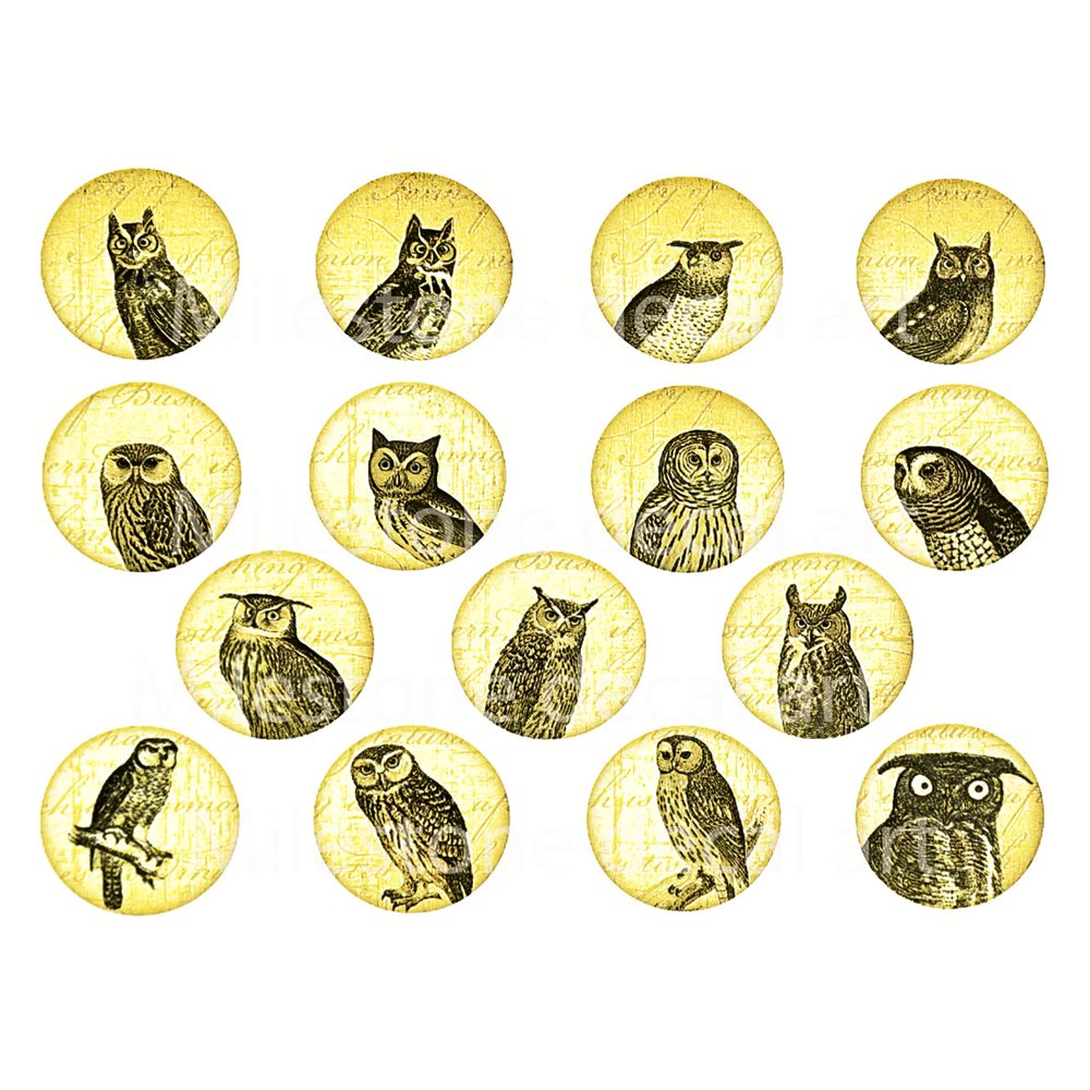 Decal - Owl Circles - Colour - 14x10 cm - Non-Food Safe