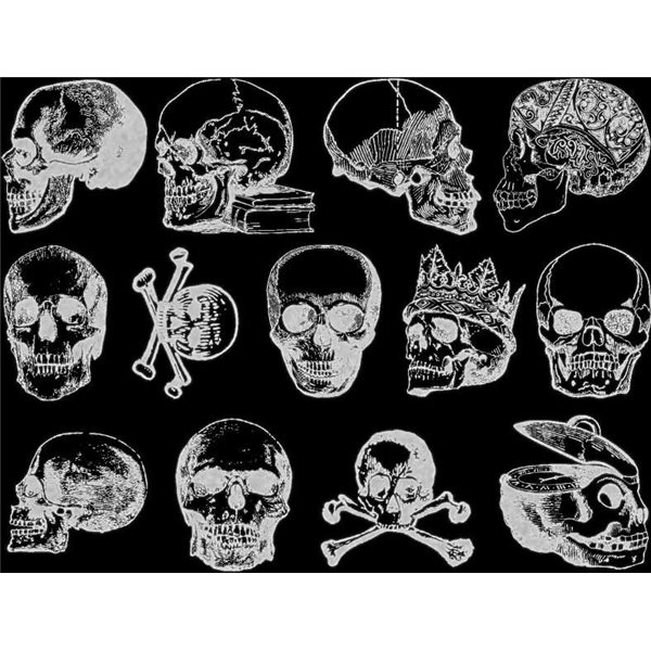Decal - Glow in the Skulls - White - 14x10 cm